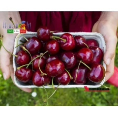 Flavour Art E-Likit Aroması Cherry 10ML