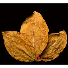 Mixology E-Likit Aroması Parliament 10ml