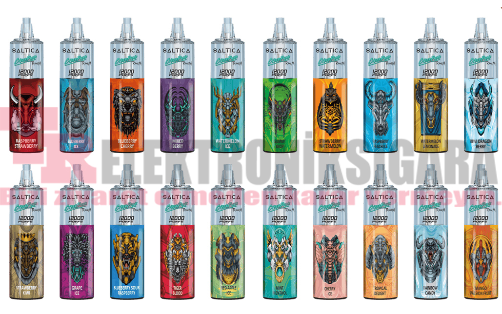 Saltica Cyberpunk 12000 Puff Bar 50mg Nikotin Blueberry Sour Raspberry